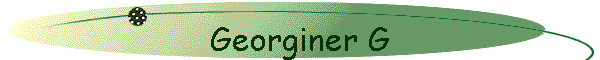 Georginer G