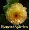 Dahlia Linna.jpg (203360 byte)